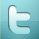 Dermatologist Plano - Twitter Icon